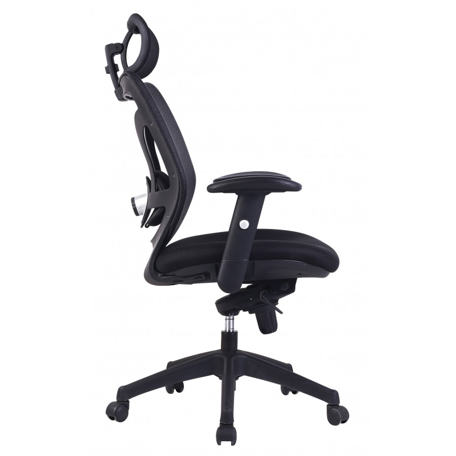 Newton Mesh Executive Office Chair